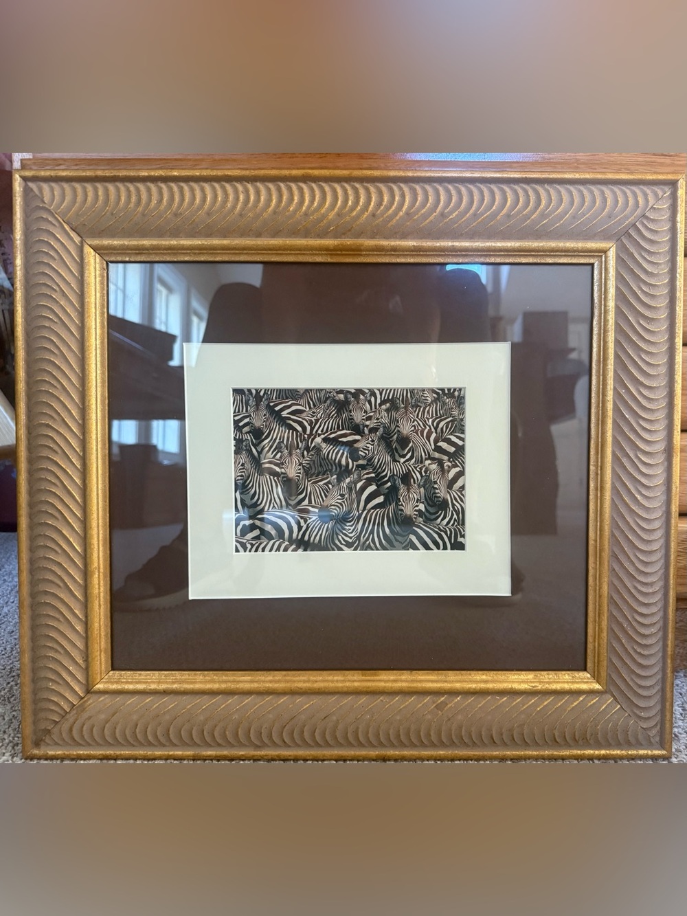 Gold Framed Zebra Photograph Wall Art - Unknown photographer